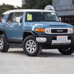 дневные ходовые огни Toyota FJ Cruiser